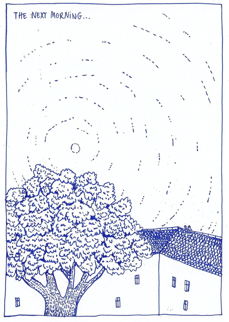 Pigeon comics: a full-page panel showing a tree in the courtyard of an apartment building. Two pigeons are sitting on the roof. Hand-drawn with blue ink on white paper.