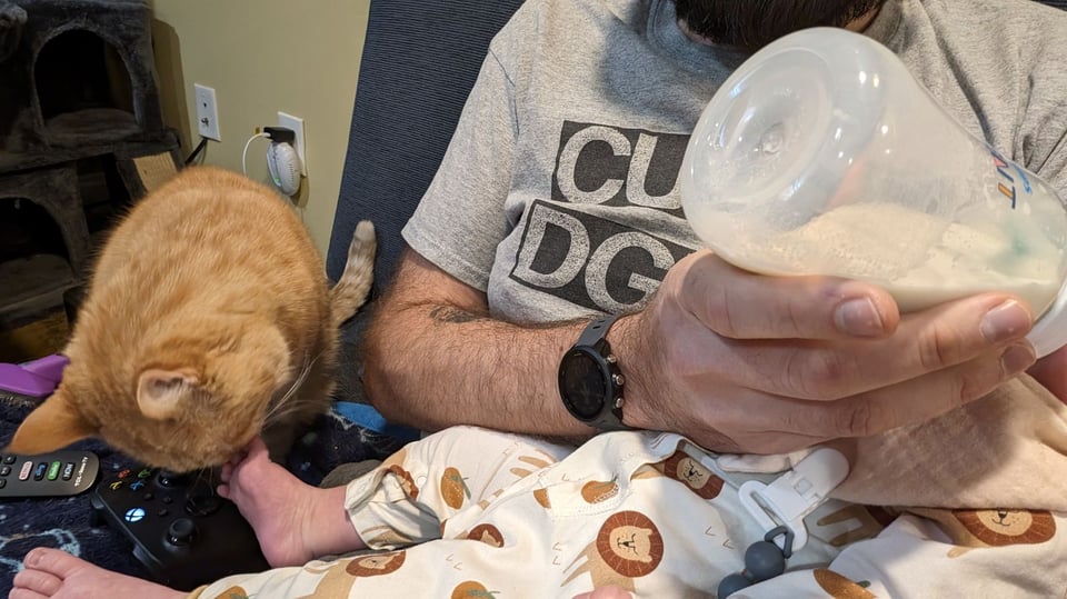 An orange cat sniffing a baby's foot while the baby is being fed a bottle.