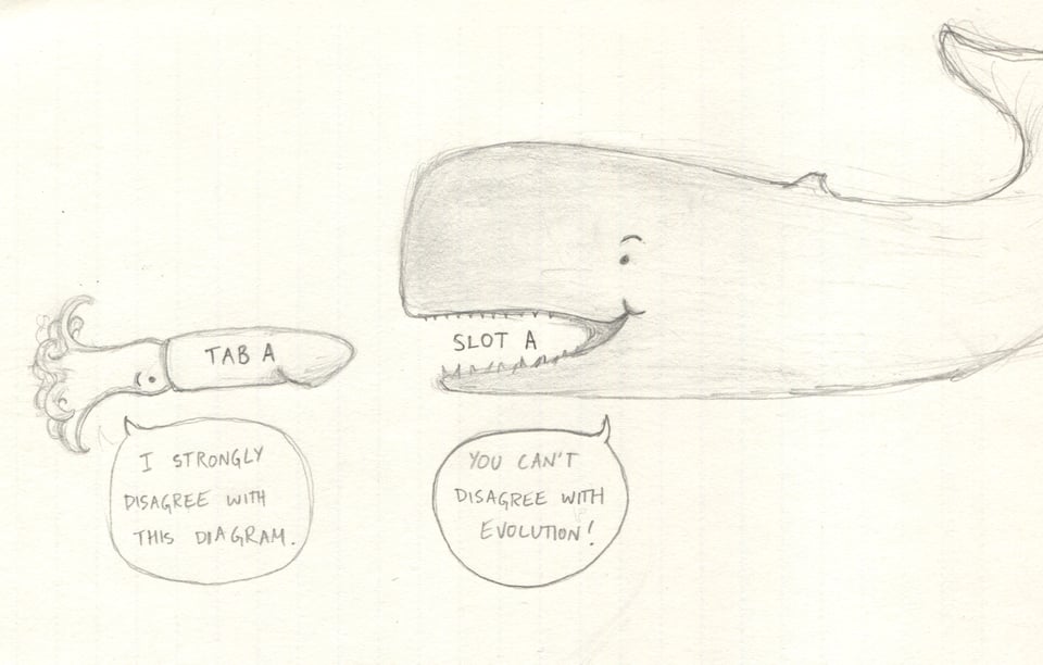 A scanned pencil sketch of a faceoff between a giant squid and a sperm whale. The squid looks cute and alarmed and its mantle is labeled TAB A. The whale looks cute and happy and its mouth is labeled SLOT A. Tab A does look like it would fit perfectly in slot A. The squid says "I strongly disagree with this diagram" and the whale responds "You can't disagree with evolution."