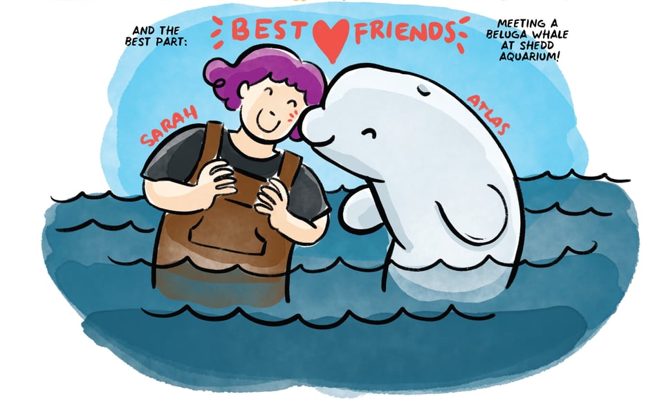 And the best part: Meeting a beluga whale at Shedd aquarium!