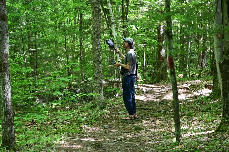 Forager, field note #3