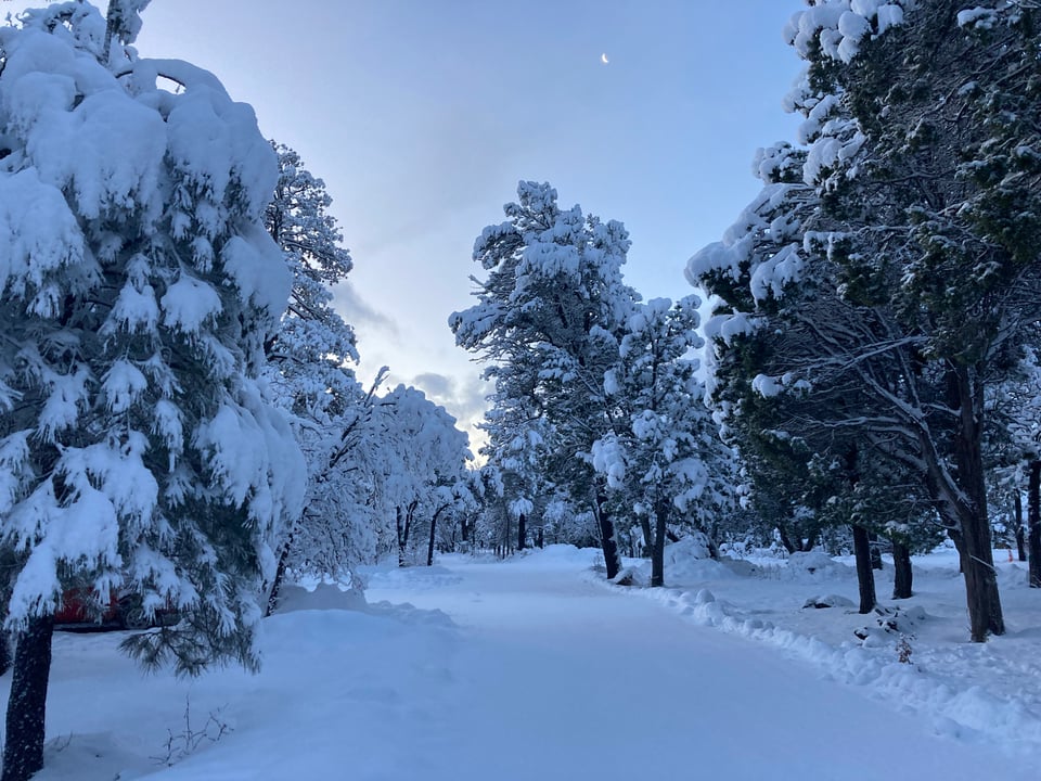 [Root Living Journals] Part 18: Heavy as a Shovel of Wet Snow