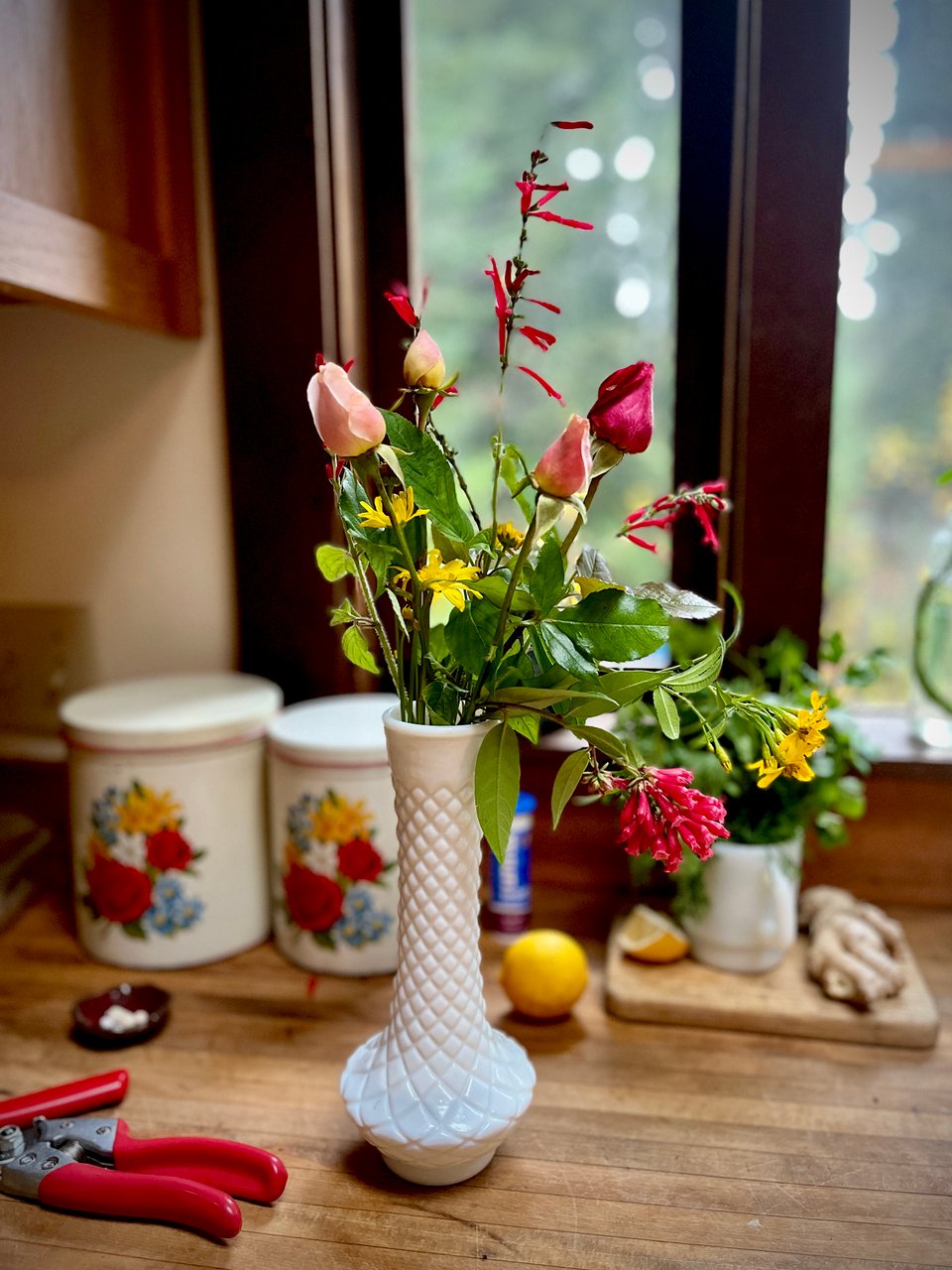 On a wooden countertop, a milk-glass vase with a small bouquet of wet, unopened rose buds; red salvia; and Mexican marigolds. through the window blurred trees can be seen.