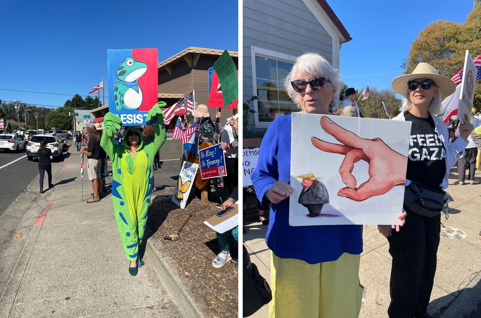 Two photos. Left hand a woman in a frog suit holds up a "resist" poster with a frog on it. Right - a woman holds up a painted sign with a hand about to flick away a caricature of Pres Trump.