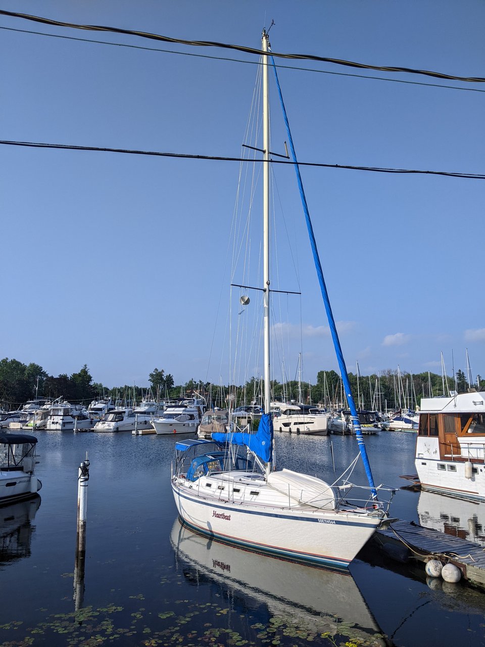 Montréal and Home Again