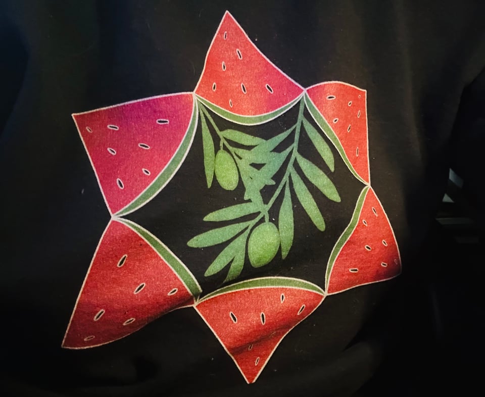 Image of Yaakov's sweatshirt (no face, just front of shirt), black with a red Magen David made of watermelon slices with olive branches in the middle