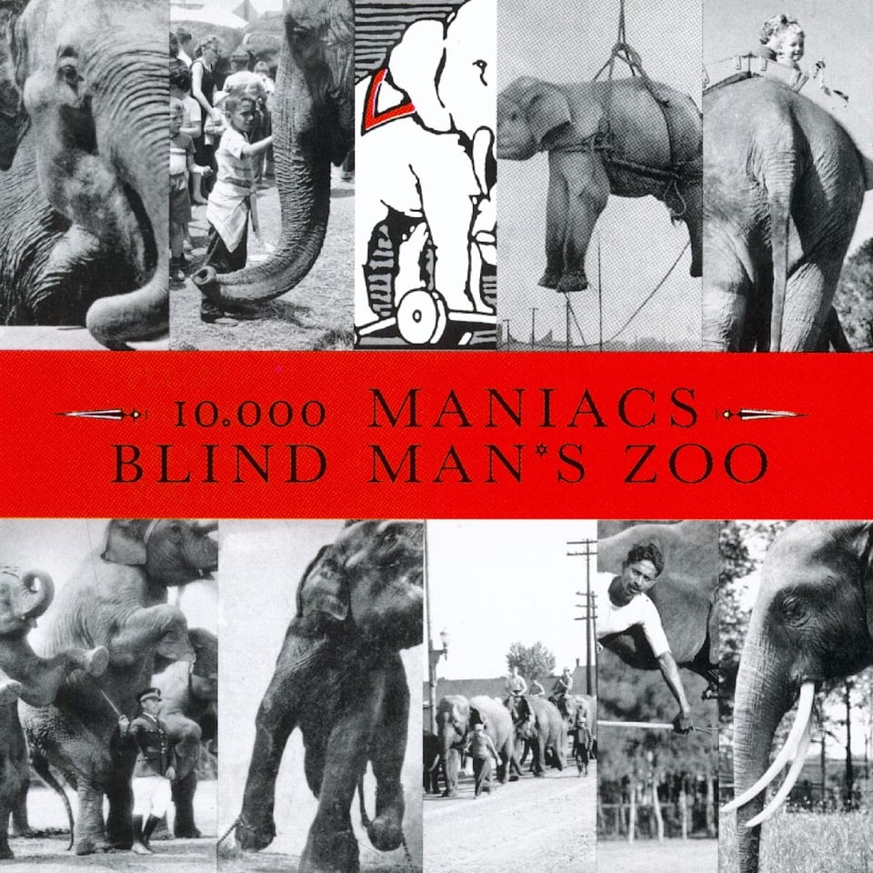 The cover is broken into five vertical panels on the top and five vertical panels on the bottom, separated by a long horizontal panel in the middle. The panel in the middle is red and reads "10,000 Maniac Blind Man's Zoo." Each of the panels in the upper and lower sections has a different picture of an elephant. Some are close up, some show elephants in a line, one has an elephant in a harness lifted into the air, one is a drawing.