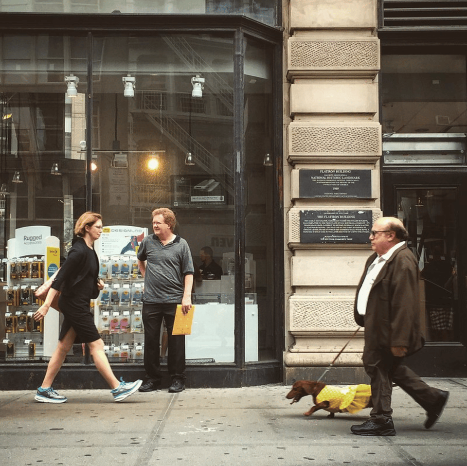Danny DeVito walking his dachshund in New York City. The dachshund is wearing a wee yellow dress.