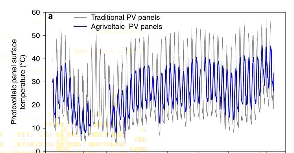 A line graph comparing the surface temperature of traditional photovoltaic (PV) panels and agrivoltaic PV panels over time. The vertical axis shows temperature in degrees Celsius, ranging from 0 to 60°C, while the horizontal axis represents time. Two lines are plotted: a thin gray line for traditional PV panels and a thicker blue line for agrivoltaic PV panels. The graph shows that agrivoltaic panels consistently have lower surface temperatures than traditional panels, with both exhibiting daily fluctuations. The data suggests that agrivoltaic systems—where crops are grown beneath solar panels—help moderate panel temperature.