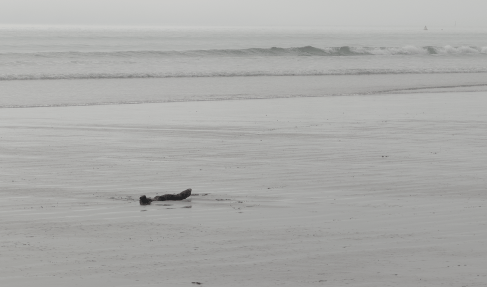 Orewa beach shoreline