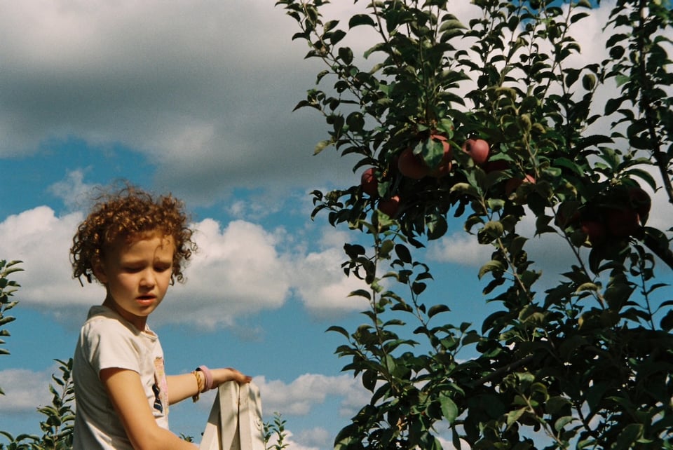 A child and an apple tree.