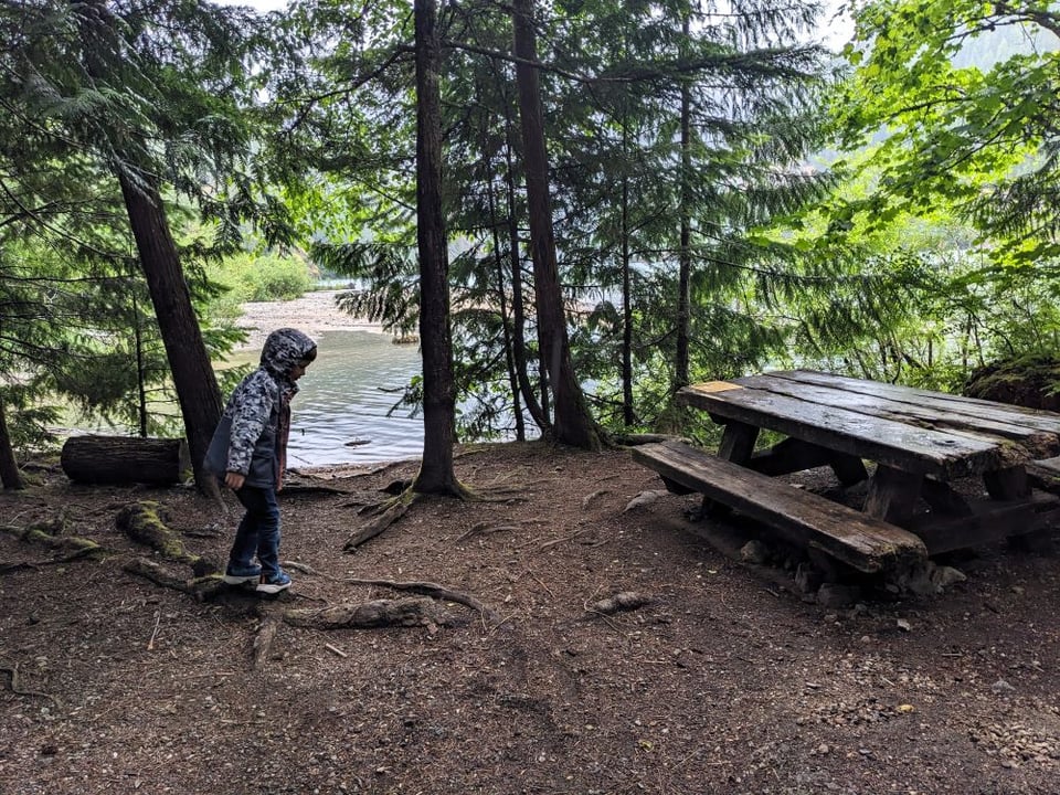 Photo of a young boy balancing on a tree root next to a picnic table in what appears to be a wooded campsite. In the background is the end of a lake.