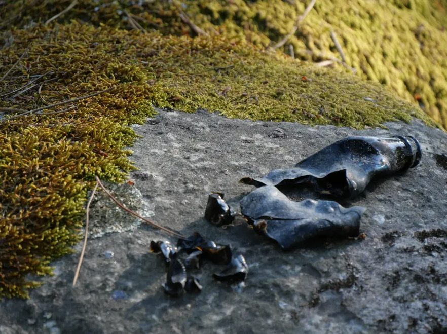 A glass bottle sits on the bare surface of a moss-covered rock. It is broken into pieces and melted.