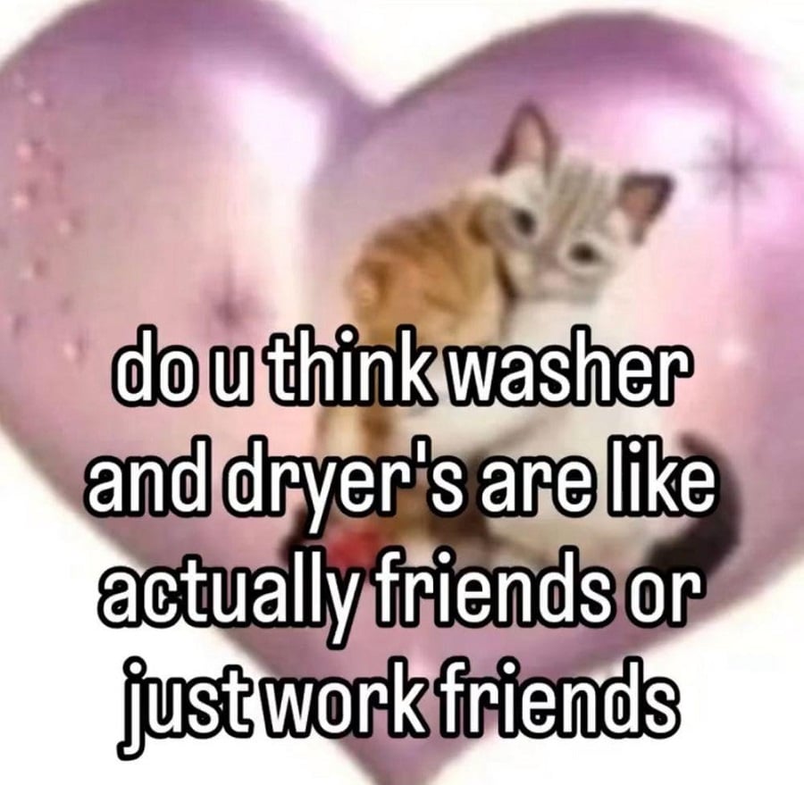 A picture of a kitten and a sparkly pink heart, overlaid with the words: do u think washer and dryer's are like actually friends or just work friends