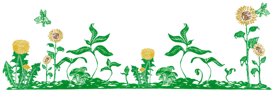 Vær med til at give naturen rettigheder