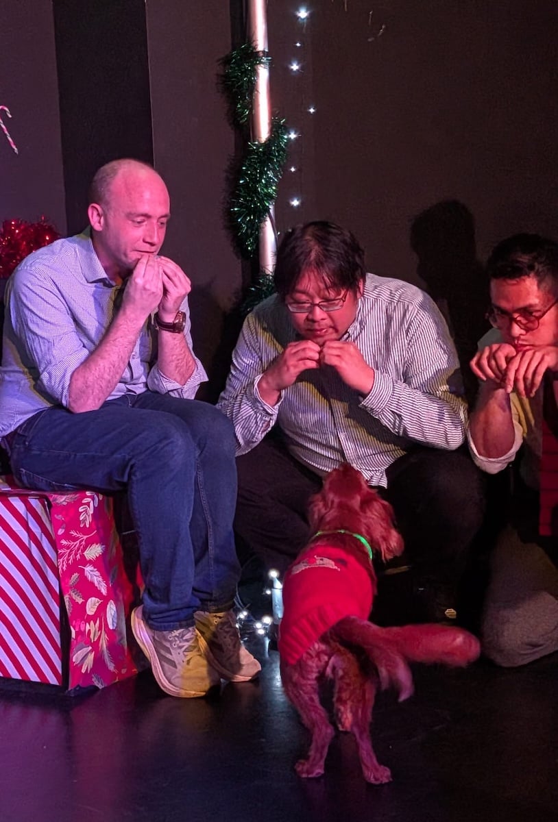 A cute dog and some improvisers.