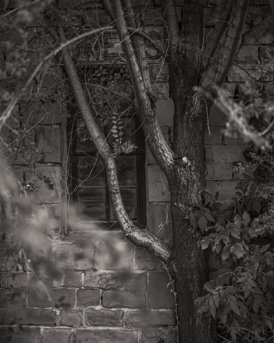 - Cody Schultz-2.jpg