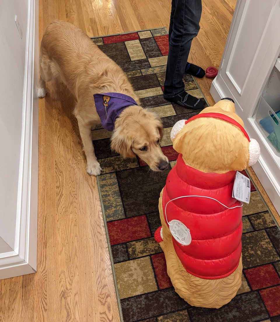 ranger-with-christmas-golden.jpg