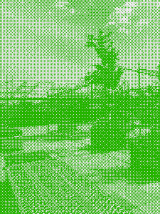 zku-roof-dithered.png
