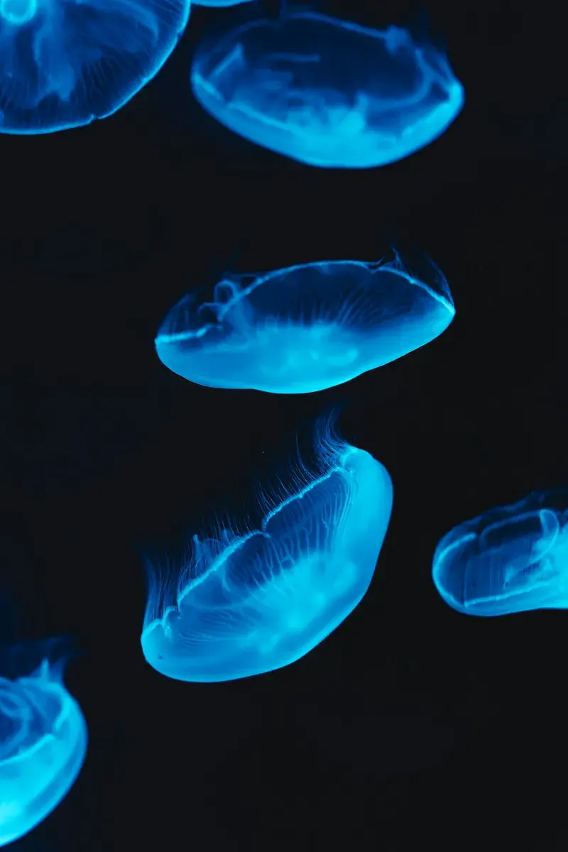 Aether Mug - Ballistic Moments of Weightlessness