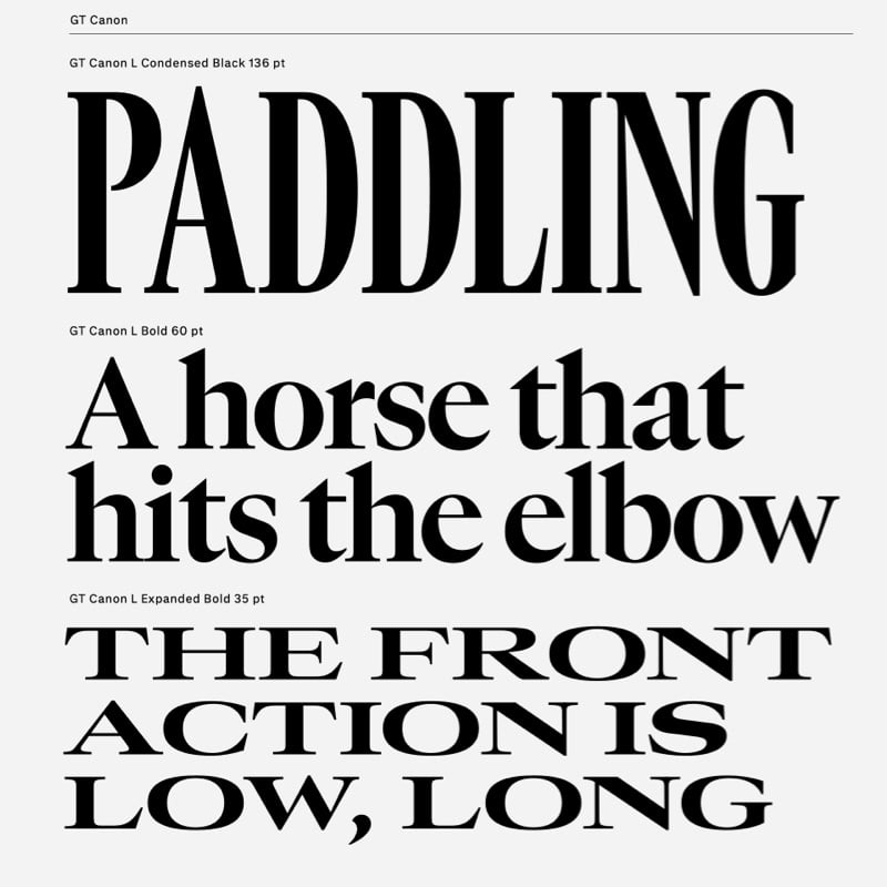 GT Canon, by Grilli Type. Made with Font Proofer.
