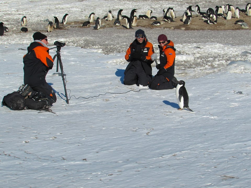 Three scientists in black and orange winter gear, on the snow in Antarctica, observing a penguin