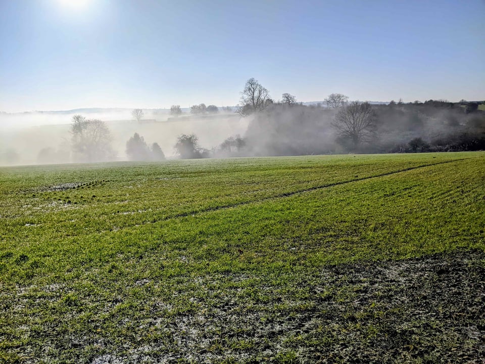 Photo of Bramley / Beaver green belt