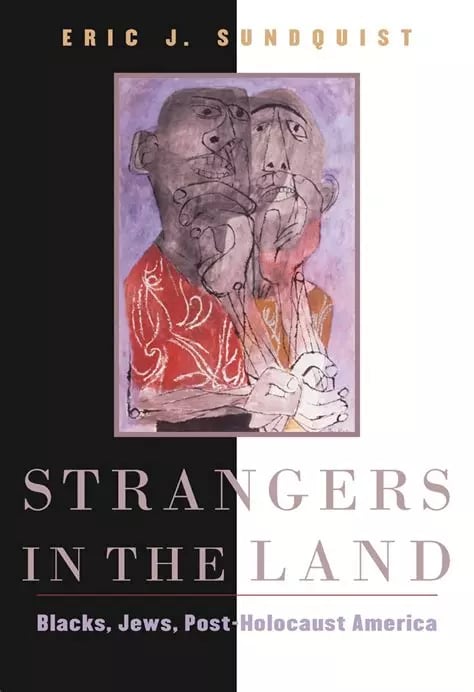 Cover: Strangers in the Land