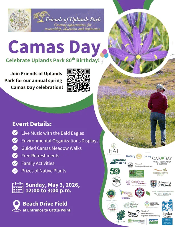 A poster with details about Camas Day, presented by Friends of Uplands Park. To the left, there are event details, like:
- it is the 80th anniversary of Uplands Park
- Camas Day is Sunday, May 3 2026 from noon-3pm
- It is at Beach Drive Field at the entrance to Cattle Point
- There will be live music with The Bald Eagles, displays from environmental organizations, guided camas meadow walks, free refreshments, family activities, and prizes of native plants.
To the right, there is a photo of a person standing in front of a meadow of blooming camas, and a lot of sponsor logos for this event.