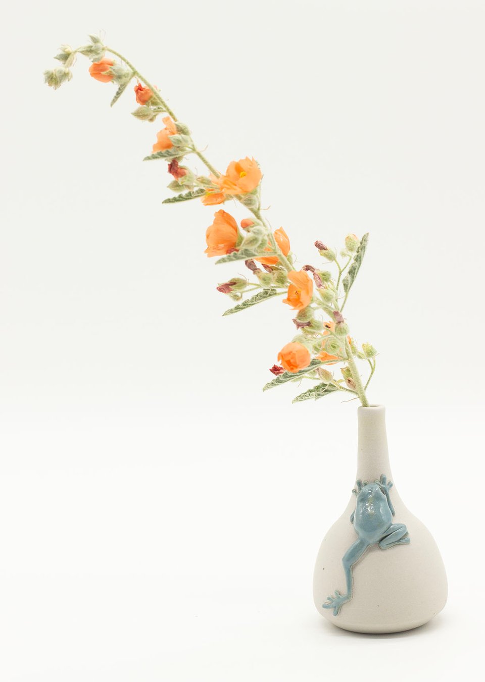 Shop Update: Turtle, mini vases & more