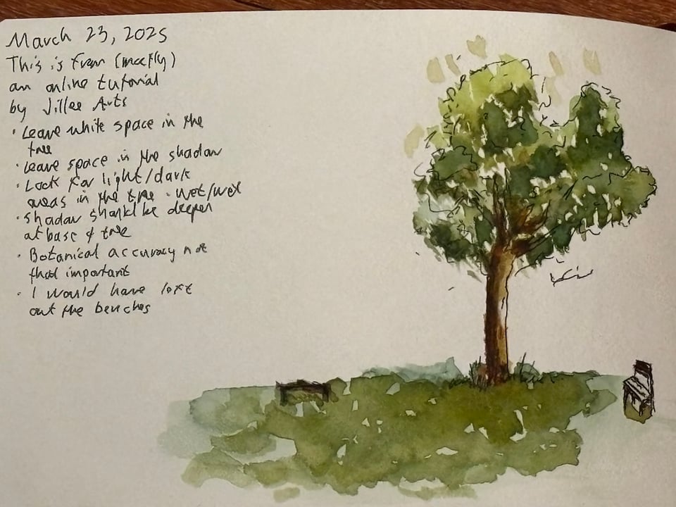 watercolor sketch of a tree