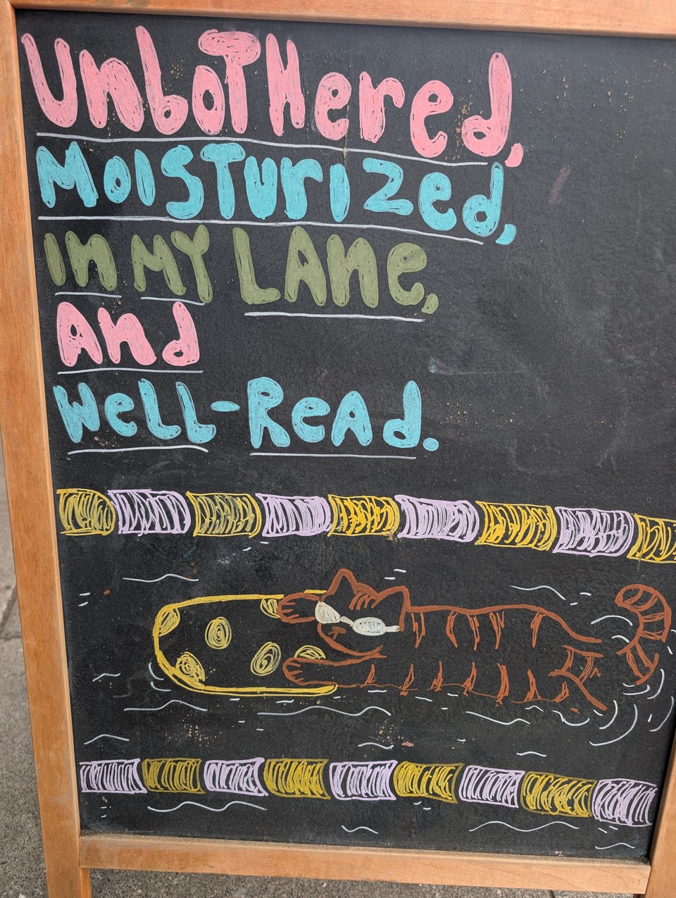 Chalk sign shows a cat wearing sunglasses  floating on an inflatable raft int he water and it says Unbothered Moisturized Well-Read and In my Lane