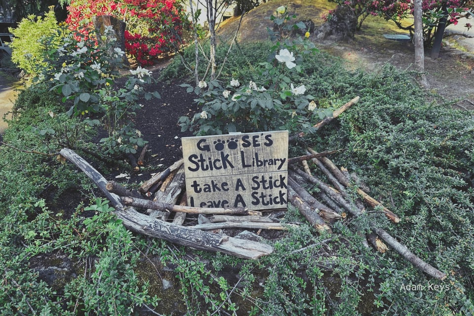 Goose's stick library, presumably a neighborhood dog's side-hustle