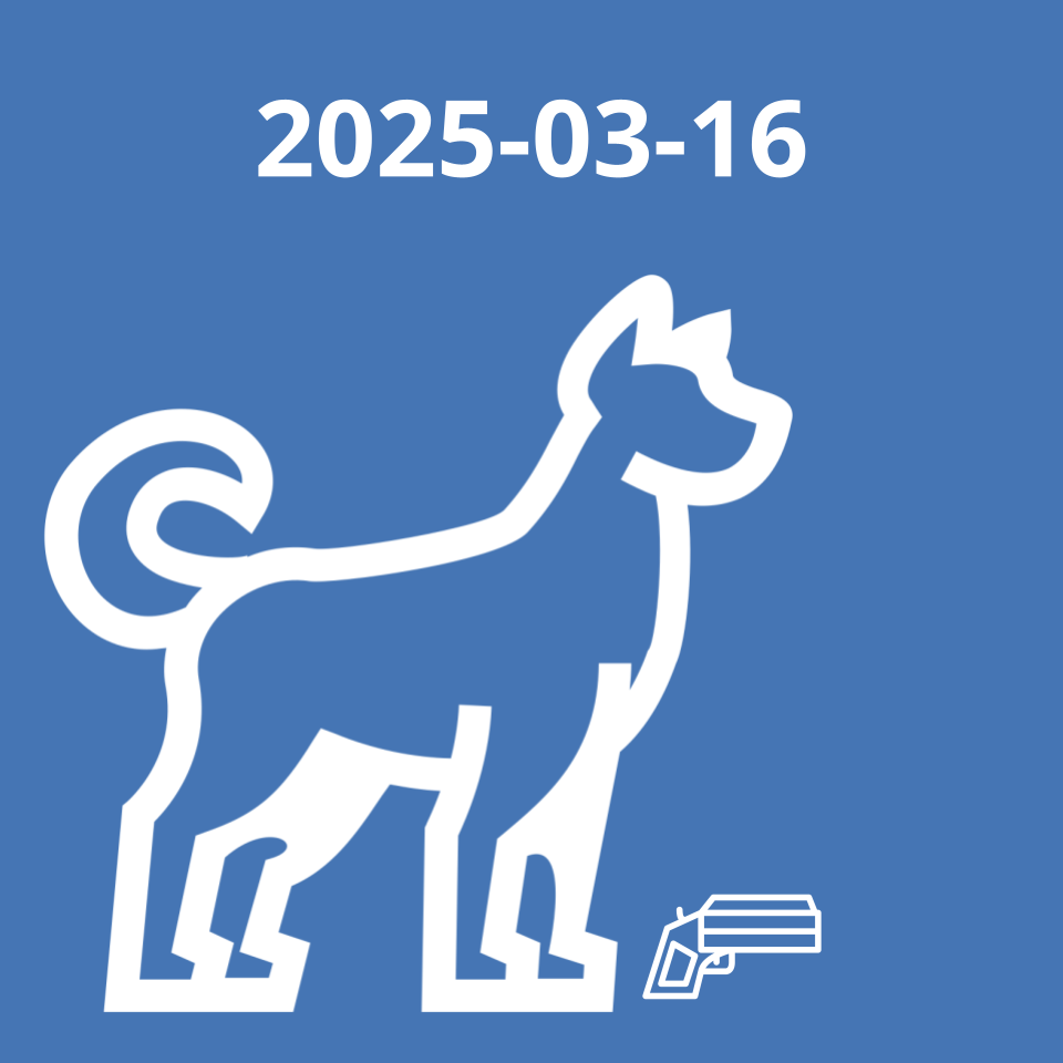 Icon of a friendly dog and a small gun. 2025-03-16