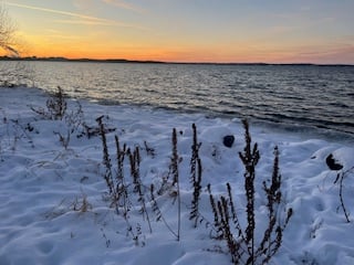 lakeshore view of light waves in the distance, snow and dried plants in the foreground, under a subtle blue-orange sunset