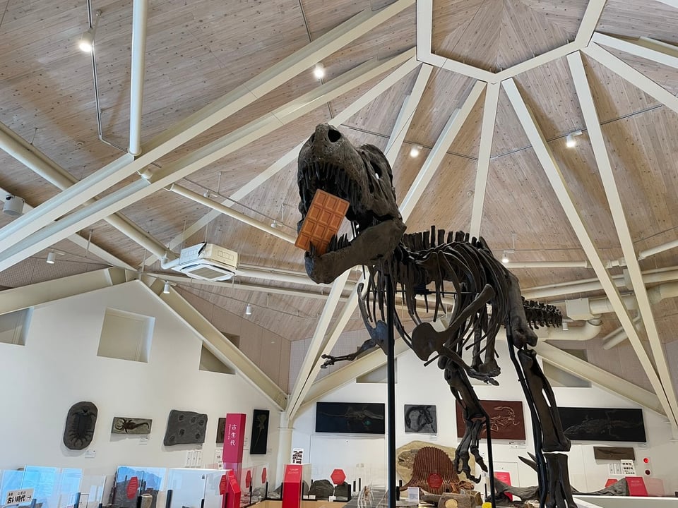 a t-rex skeleton with a cardboard chocolate bar in its jaws.