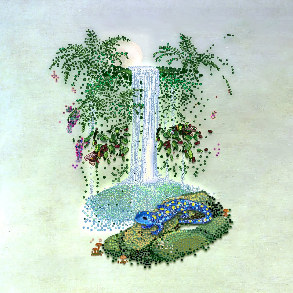 Saapato - Seasons Turn Like Pages