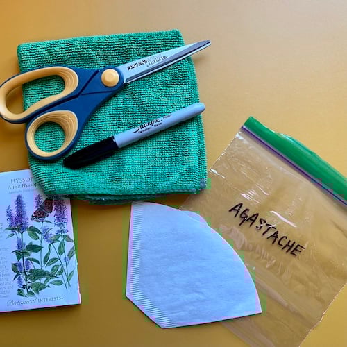 Seeds, Ziplock bag, coffee filter, and towel are supplies