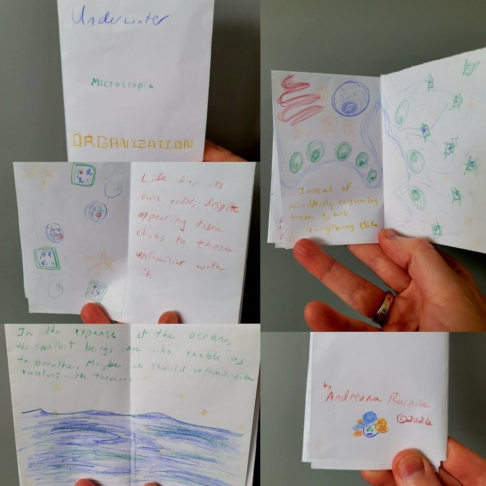 A mini-zine titled "Underwater microscopic organization" shown in five sub-images
Front cover (top left image): “Underwater Microscopic Organization”
First two pages (middle left image): “Life has its own order, despite appearing like chaos to those unfamiliar with it.” (Microscopic organisms shown on the left page)
Middle two pages (bottom left image): “In the expanse of the ocean, the smallest beings are who enable us to breathe. Maybe we should refamiliarize ourselves with them…” (There is an illustration of the ocean spanning both pages)
Last two pages (top right image): “…Instead of mindlessly consuming them, and, well, everything else.” (The text is crammed into the bottom left corner, and overtaking the pages is an amoeba-like being that has eaten the tiny organisms shown earlier)
Back cover (bottom left image): cute lil portrait of me out of microscopic organisms