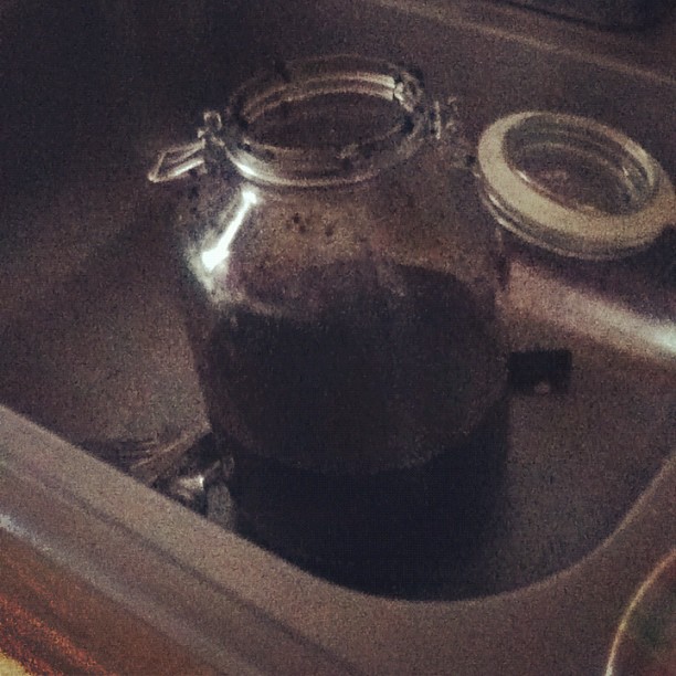 A grainy photo from IG's early days: A glass jug filled with water and coffee grounds in a Brooklyn sink.