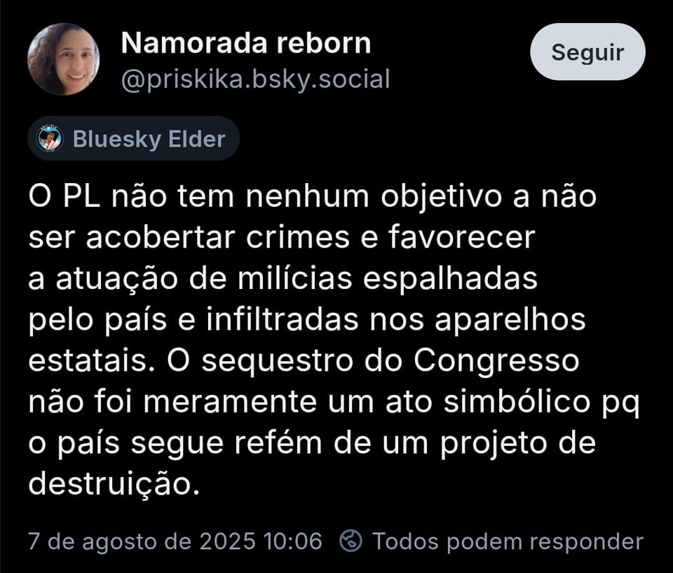 Imagem mostra post de @priskika.bsky.social com o texto: O PL não tem nenhum objetivo a não ser acobertar crimes e favorecer a atuação de milícias espalhadas pelo país e infiltradas nos aparelhos estatais. O sequestro do Congresso não foi meramente um ato simbólico pq o país segue refém de um projeto de destruição.