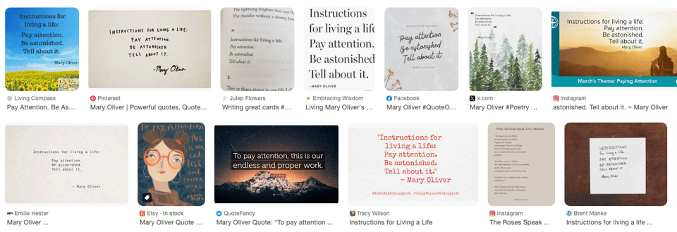 A selection of images from Google Search: “Mary Oliver - Pay Attention”