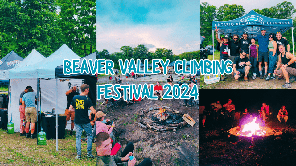 Fall 2024 Newsletter