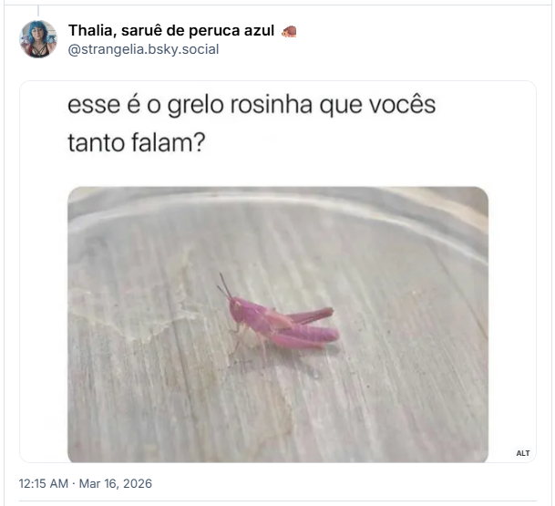 Post de Thalia, saruê de peruca azul 🦔 (‪@strangelia.bsky.social‬): Texto: esse é o grelo rosinha que vocês tanto falam? Imagem: foto de um grilo mas da cor rosa