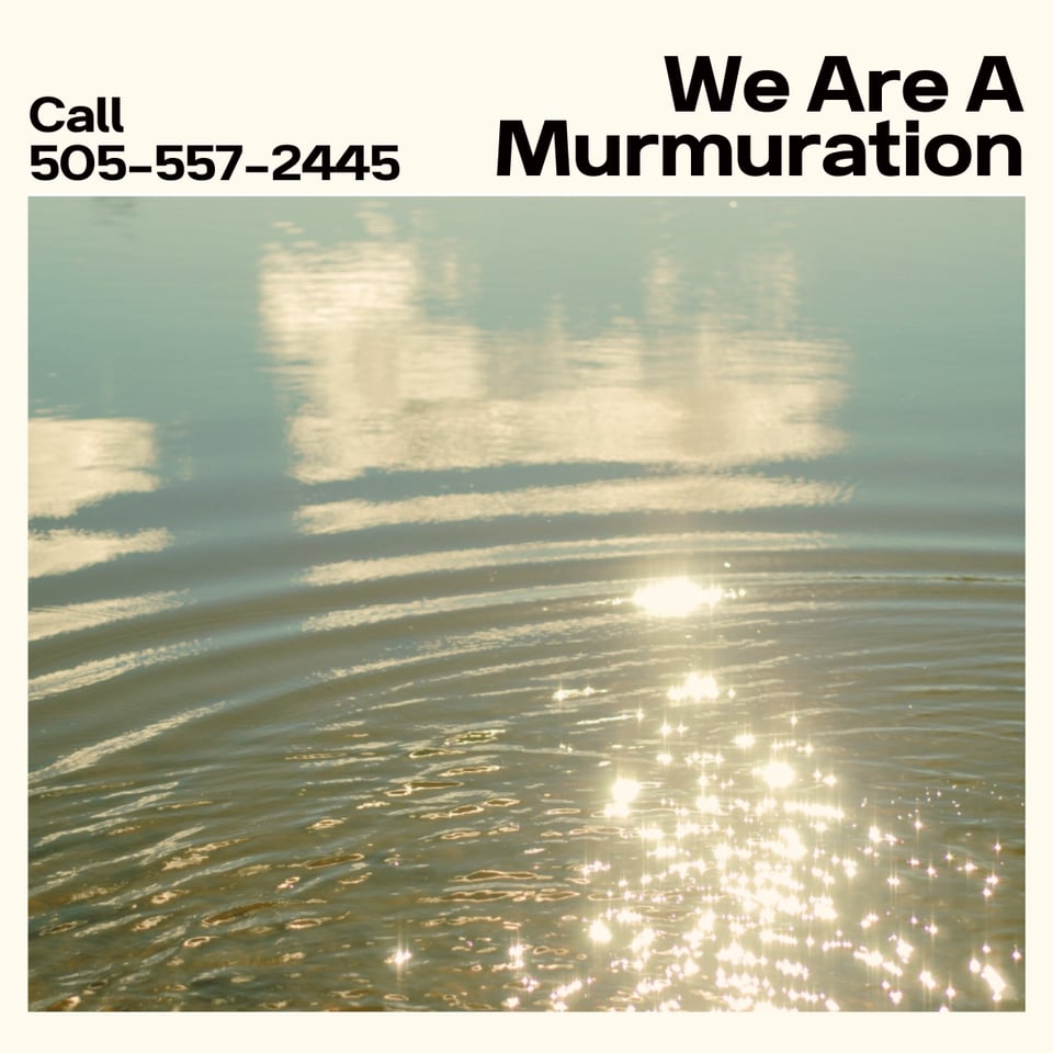 water with ripples and sunlight sparkling atop the water with the words We Are A Murmuration and Call 505-557-2445
