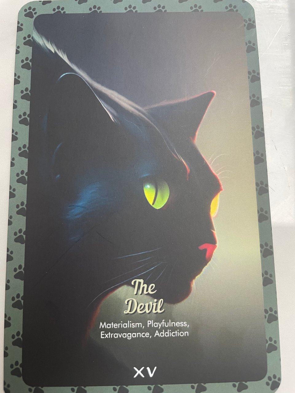 Tarot card of the devil showing black cat face and neck facing to the right on a light background