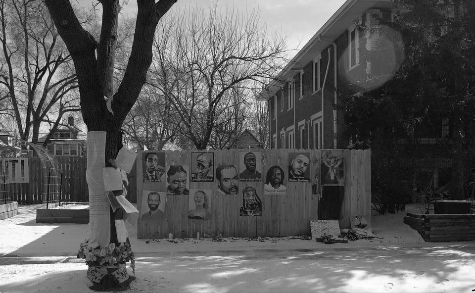 How Minnesota Beat Trump