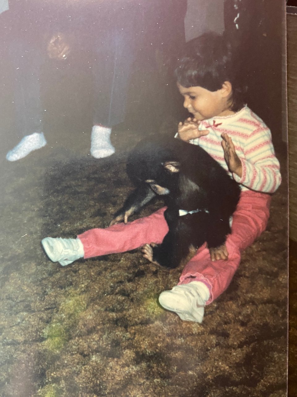 Binti climbing on little KCF's legs - while she is unsure of where to place her hands