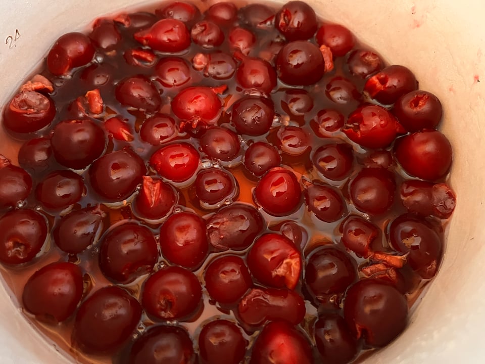 pot of sour cherries in syrup 