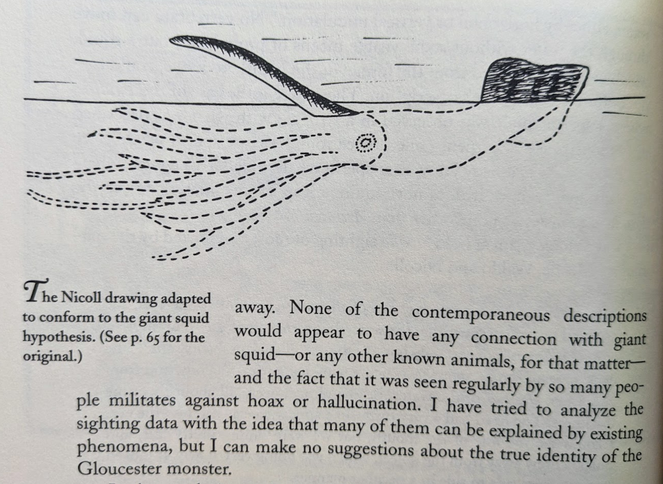 A photo of a page in Monsters of the Sea that has a simple drawing of a " sea monster" with two parts above water: a long neck, and a squarish body. Additions underwater in dotted lines show how these parts could be a raised arm and a mantle plus fin of a large squid.